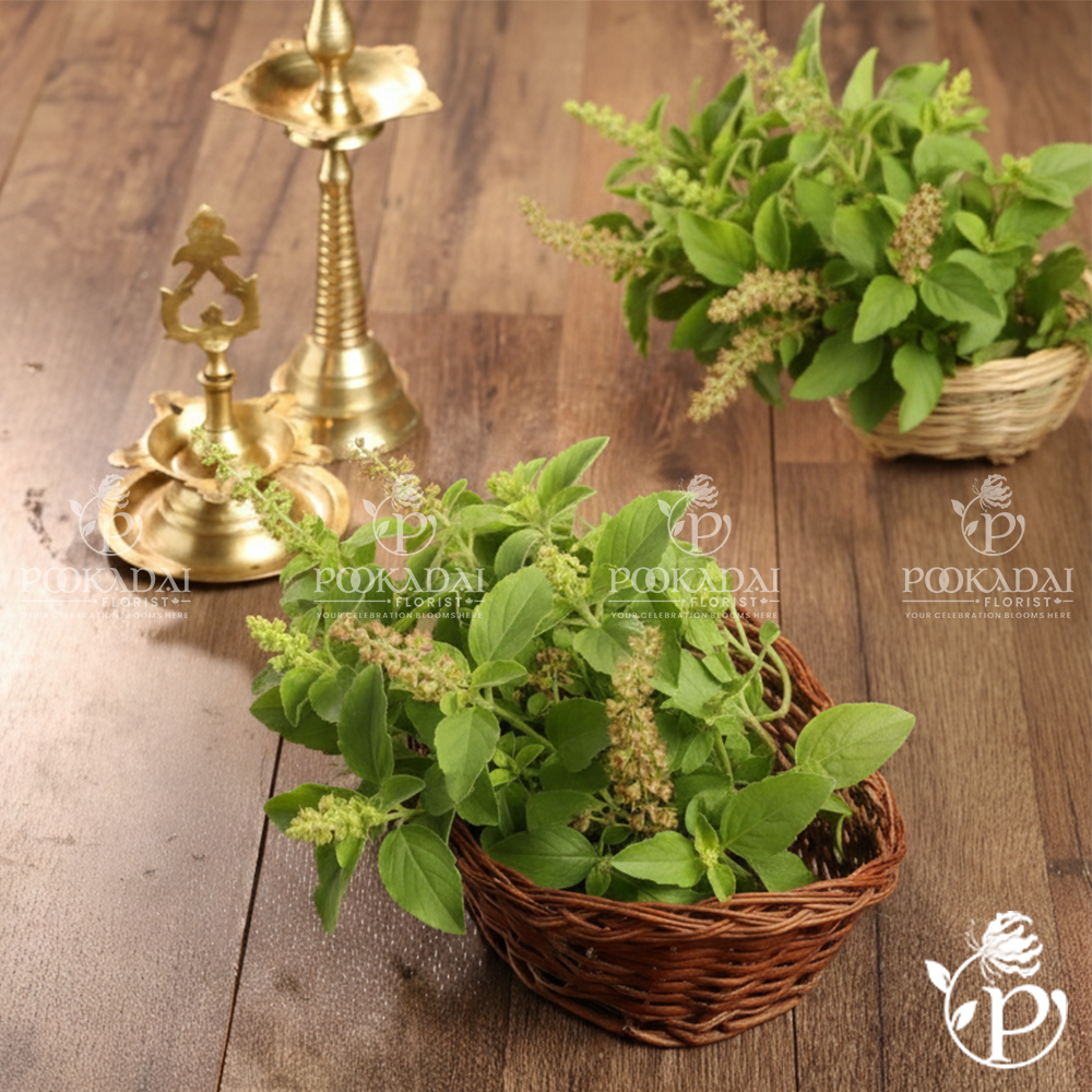 Tulsi Leaves - Thulasi (Holy Basil)  Pookadai Florist Toronto