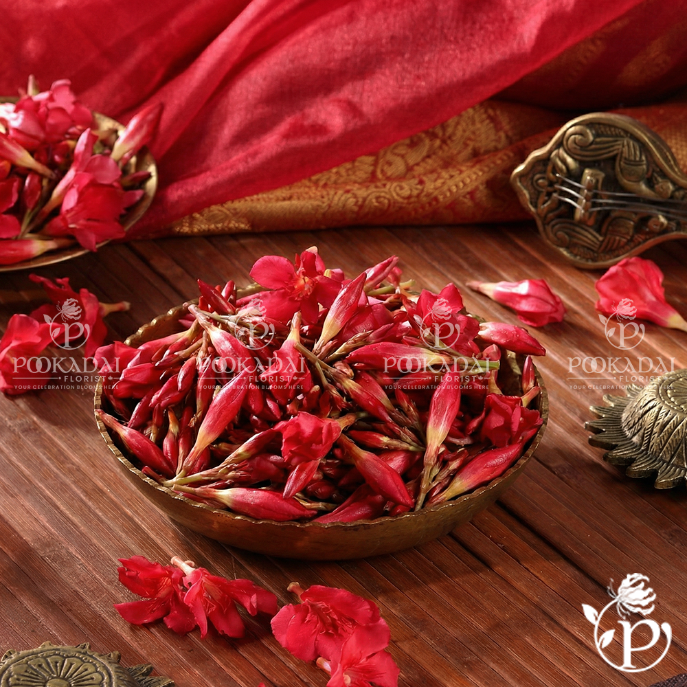Fresh Arali / Ganneru Flowers