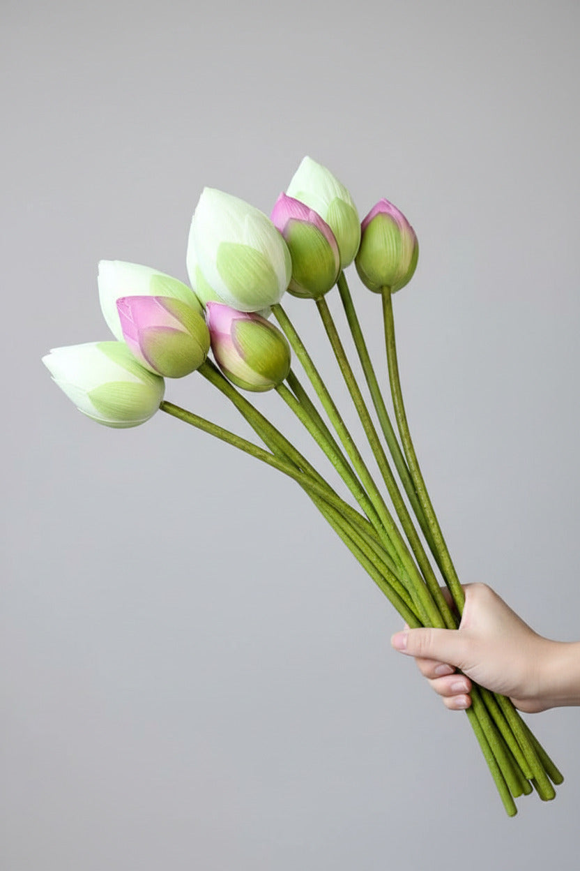 Lotus Long Stem (Single)