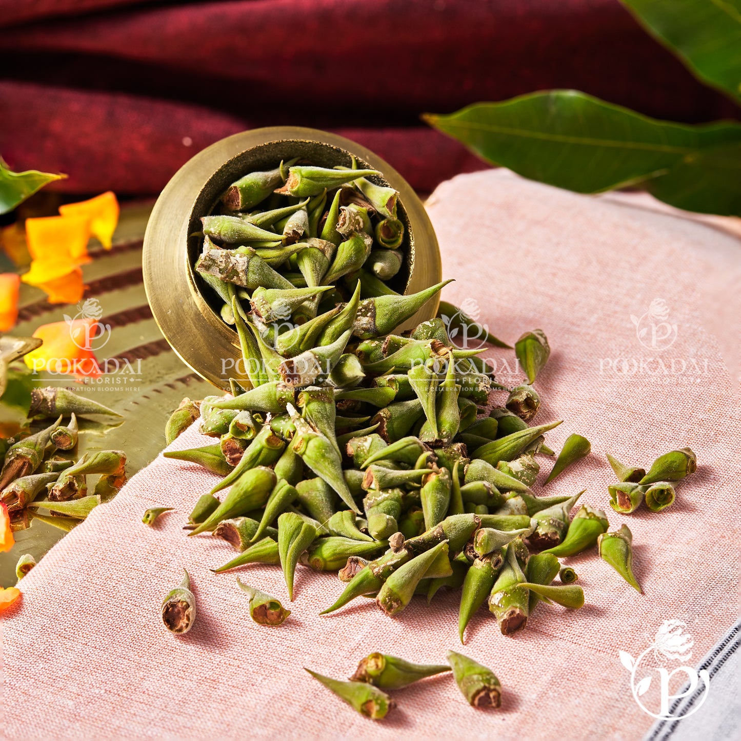Banyan Bud | Aalam Mottu | Bargad Ke Kaliya - 50 Gm