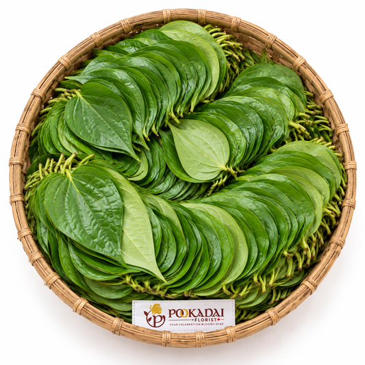Betel Leaves | Vetrilai | Paan Patta – Basket (1000 Leaves)