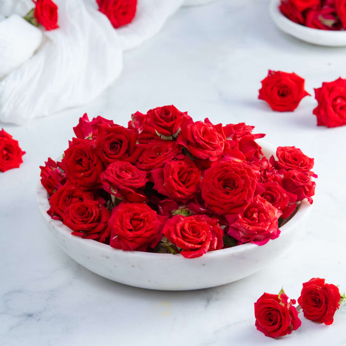 Fresh Button Roses