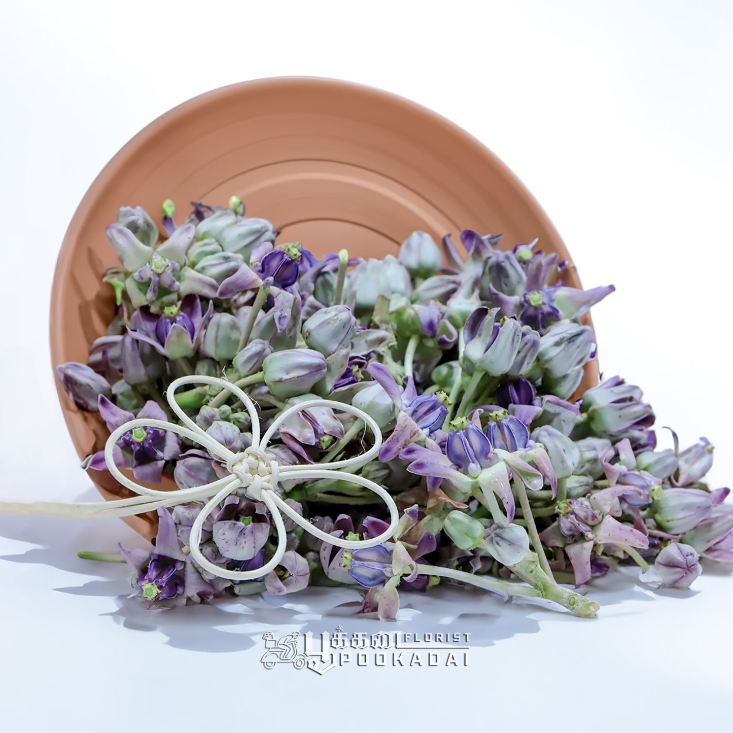 Erukkam Pushpam / Madar Flower - Pookadai Florist Toronto