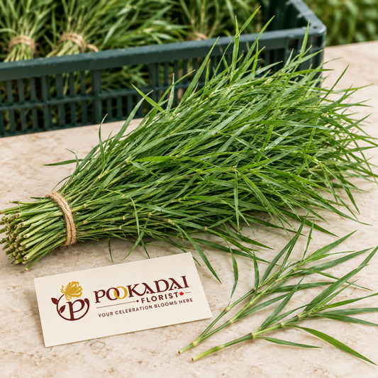Arugam Grass | Sacred Grass | Durva – Bulk Box (10 KG)