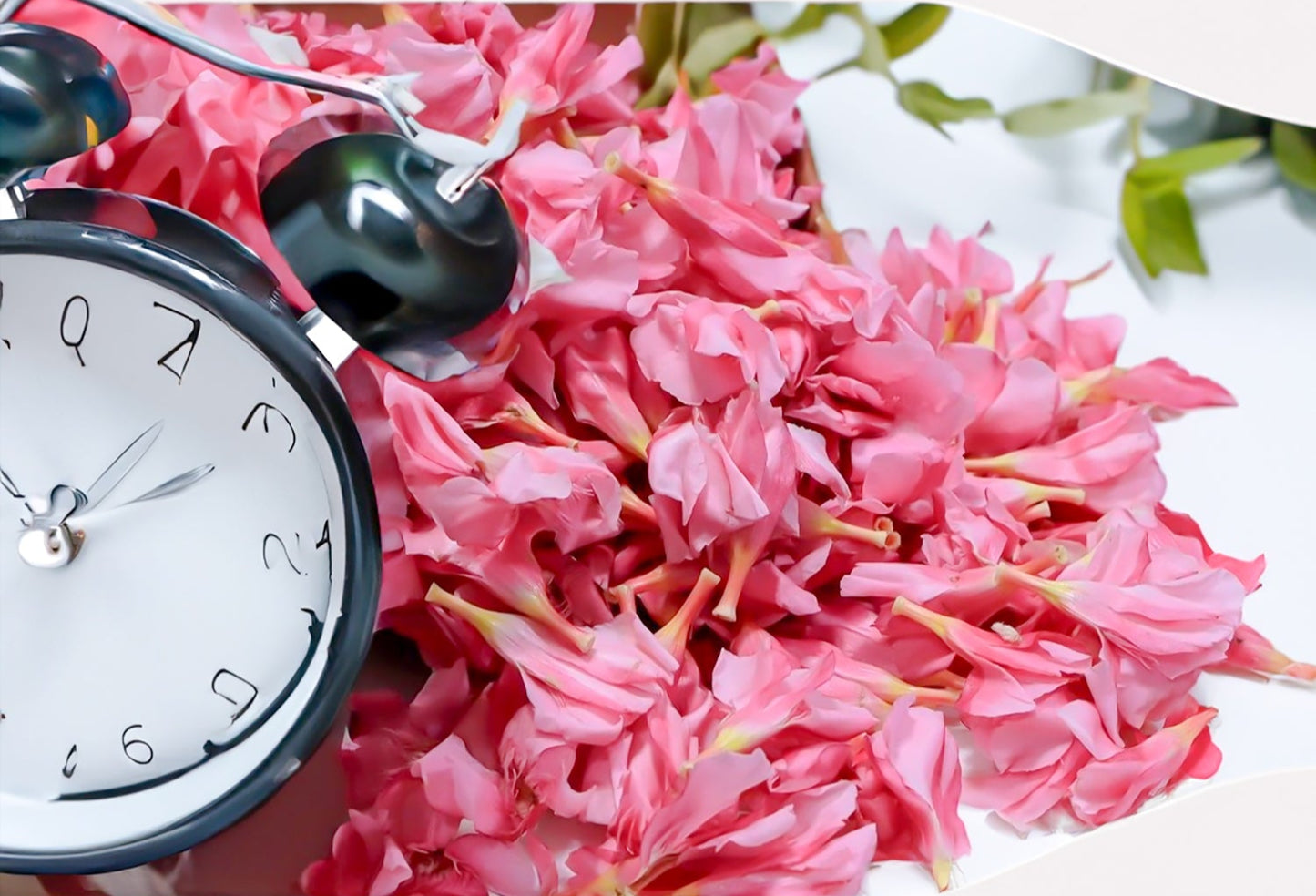 Fresh Arali / Ganneru Flowers - Pookadai Florist Toronto