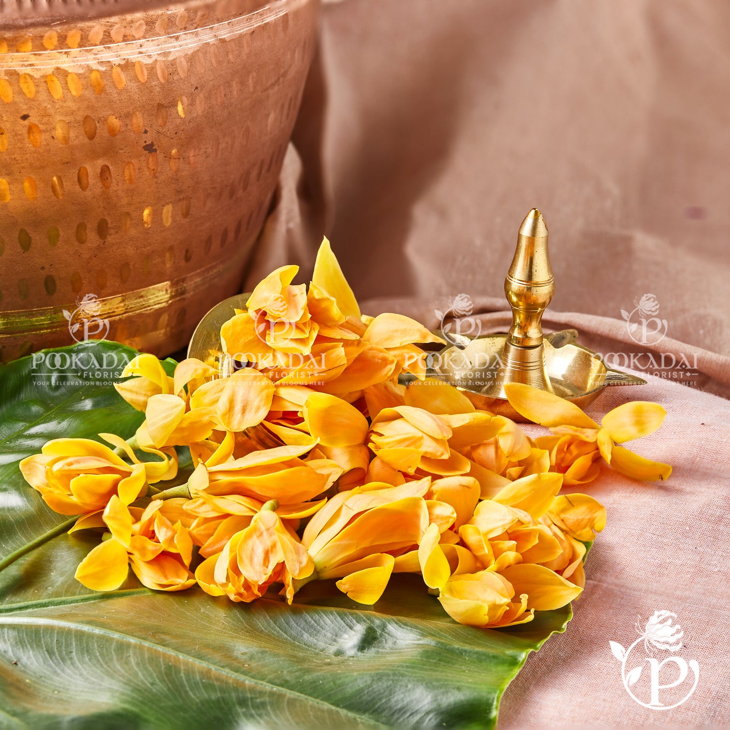 Shenbaga Poo (Golden Champak) - Fragrant Yellow Temple Flowers