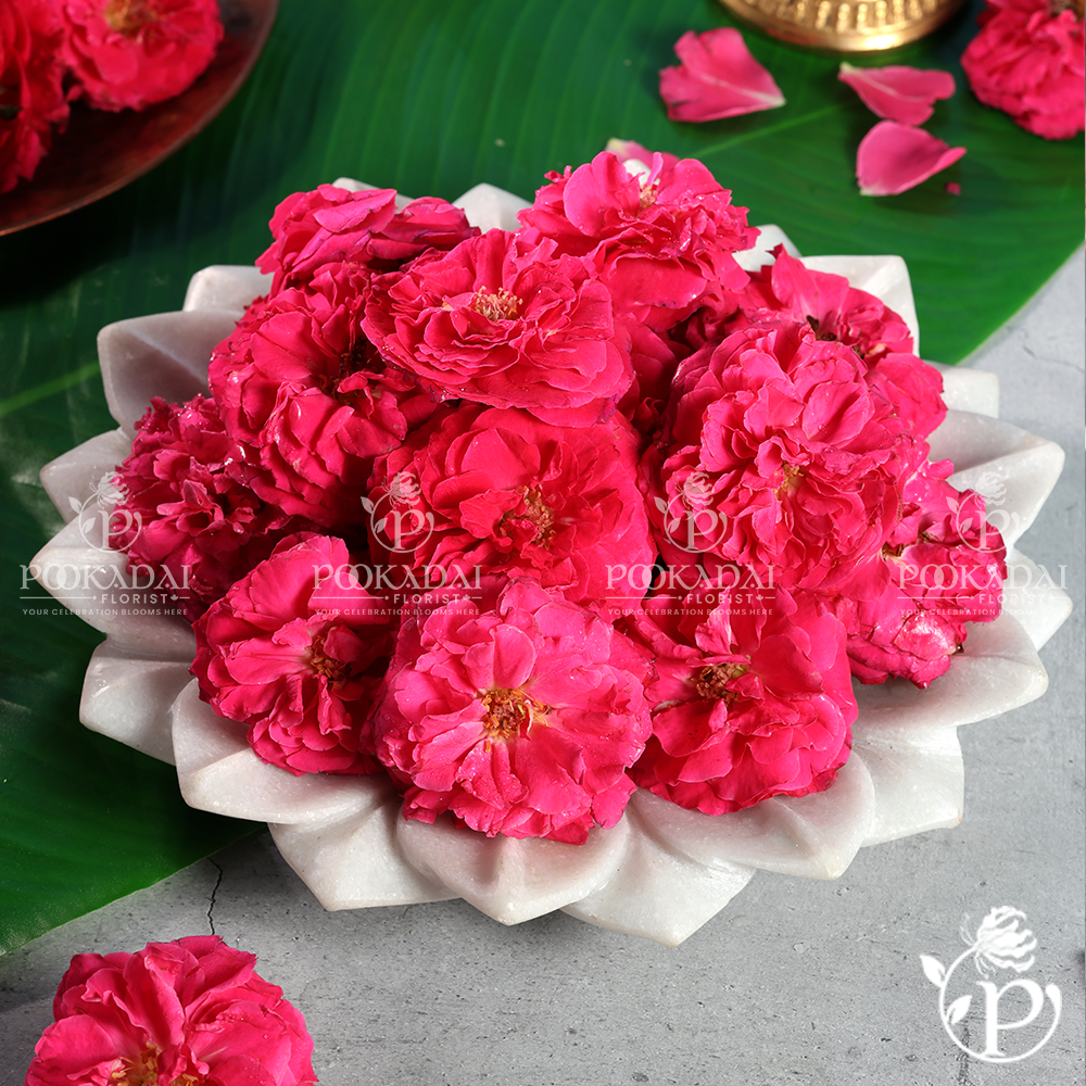 paneer rose seeds Fresh Paneer Rose Fragrant Sacred Flower for Pooja & Spiritual 100g