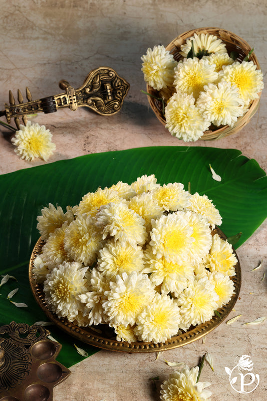 Samanthi / Chamanthi