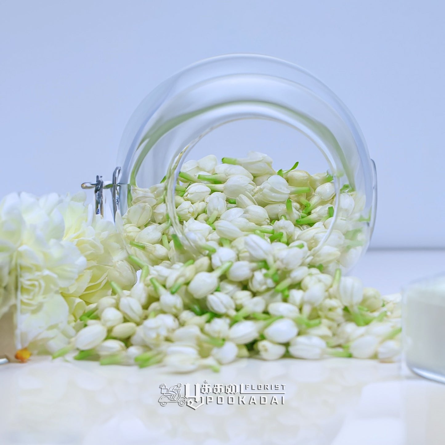 Jasmine ( Malli ) / Mogra - Pookadai Florist Toronto