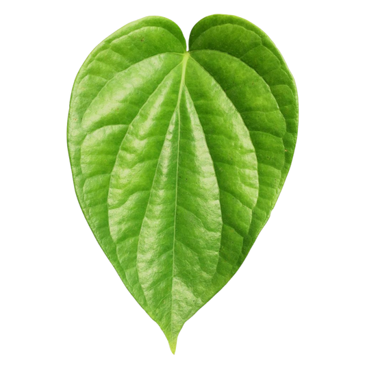 Vettrilai / Betel/ Pan Leaves - Pookadai Florist Toronto