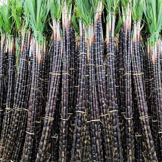 Fresh Sugar Cane - Full (With Leaves)  - For Pongal - Pookadai Florist Toronto