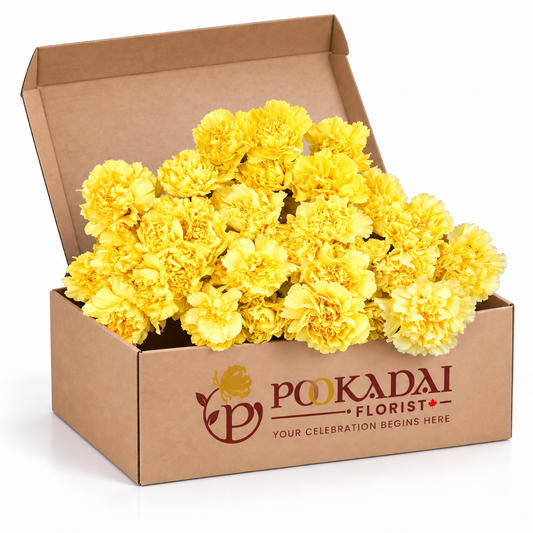 Fresh Carnations – Assorted – Bulk Box (500 Stems)