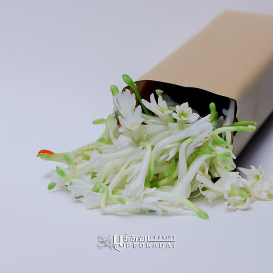 Sampangi  or Rajanigandha or Nishigandha - Pookadai Florist Toronto