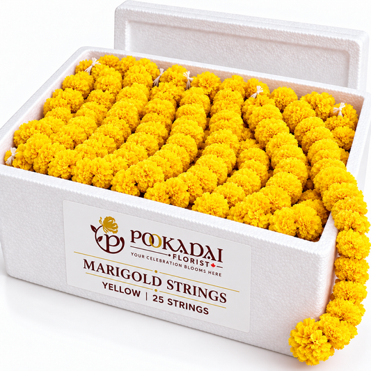 Marigold Strings – Bulk Box (25 Strings)