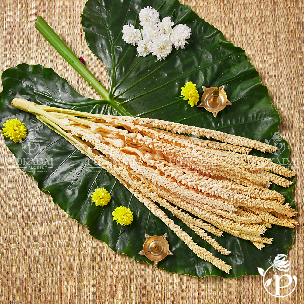 Coconut Flower | Thennampalai | Nariyal Phool