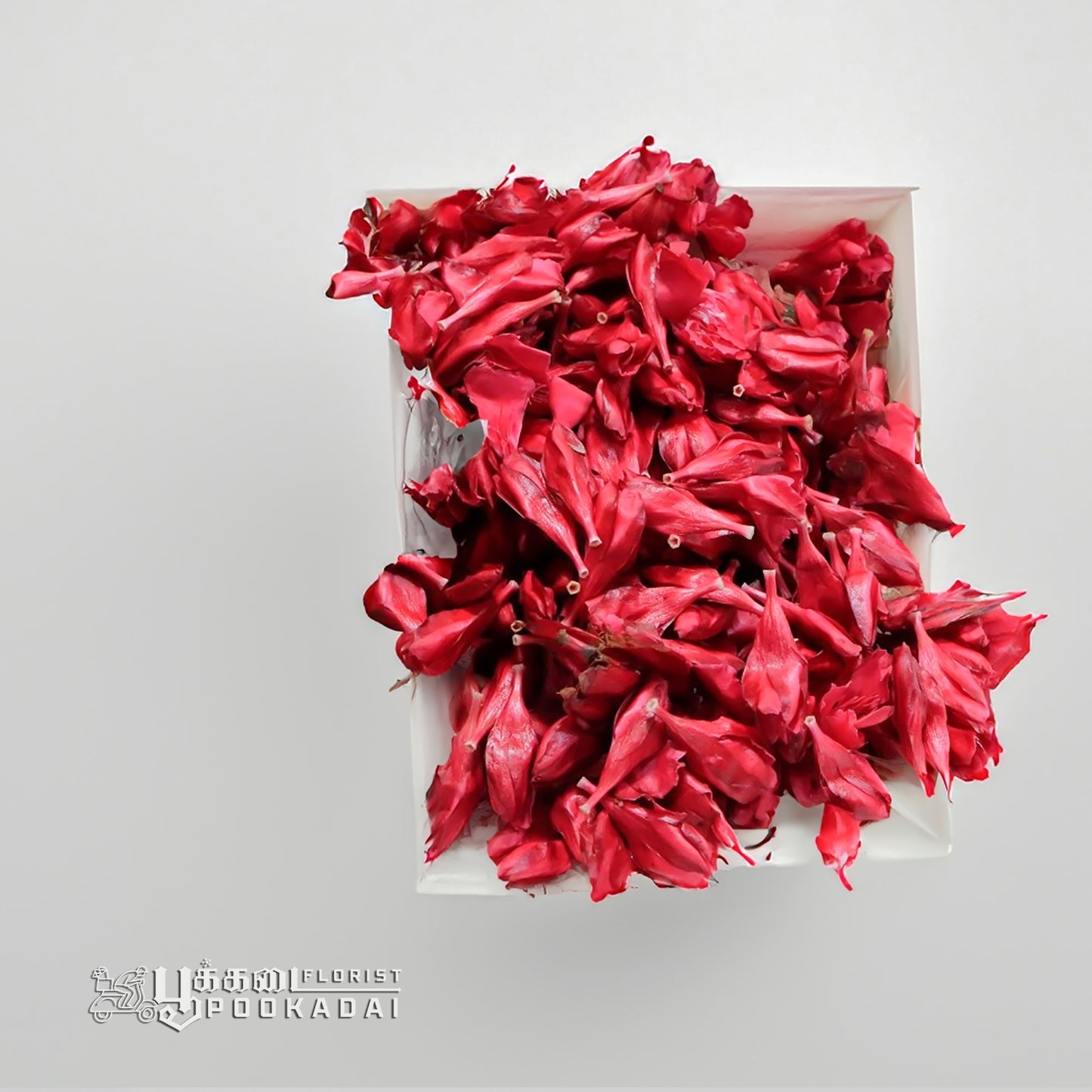 Fresh Arali / Ganneru Flowers - Pookadai Florist Toronto