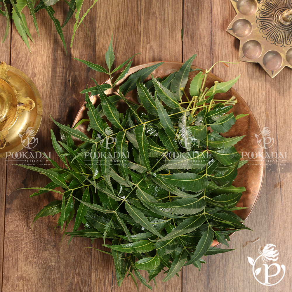 Fresh Veppilai | Neem Leaves | Neem Patta