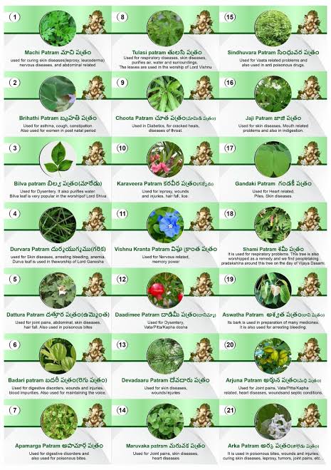 Leaves For Ganesh Patri Pooja