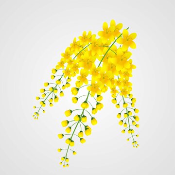 Konna Flowers / Kani Konna - Pookadai Florist Toronto