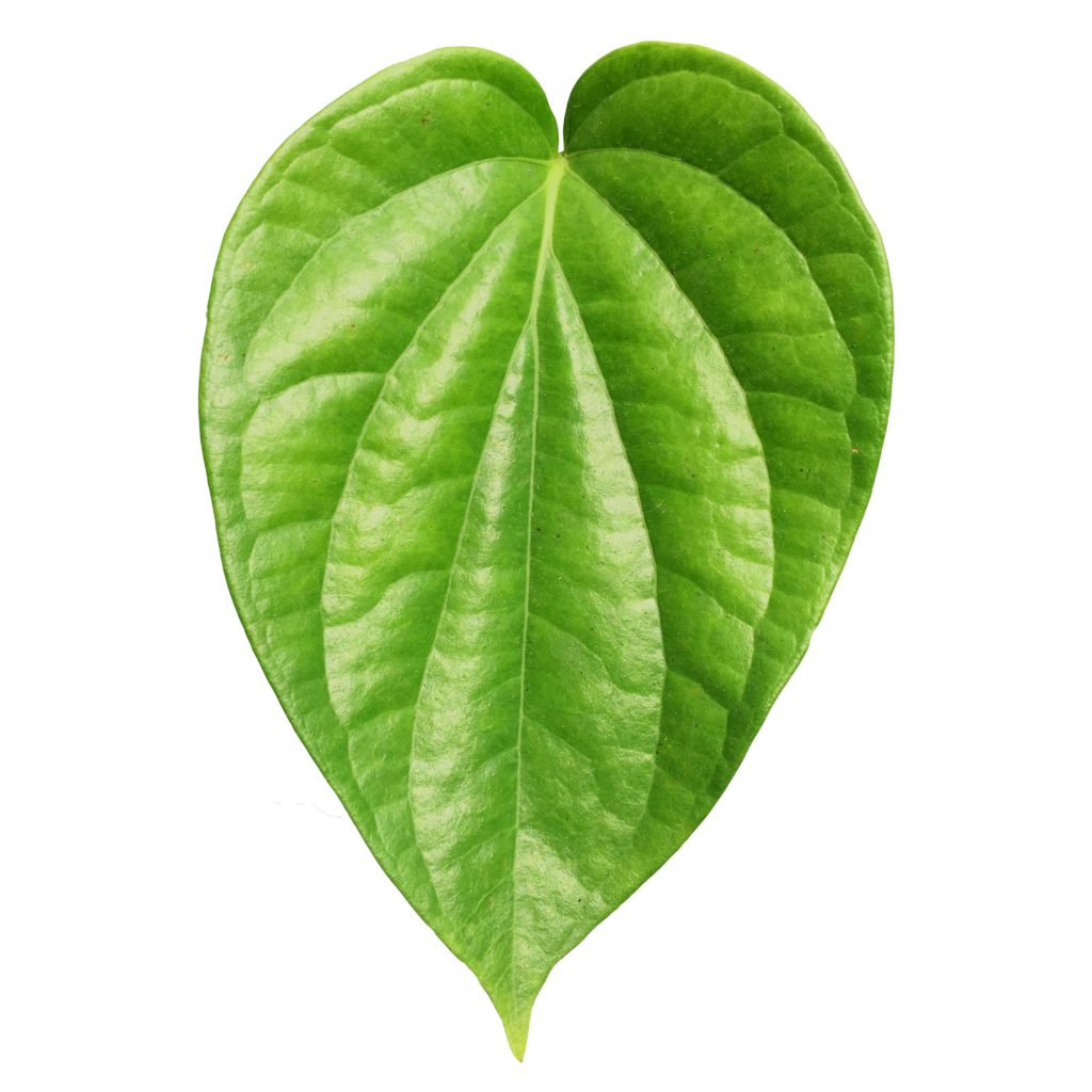 Vettrilai / Betel/ Pan Leaves - Pookadai Florist Toronto