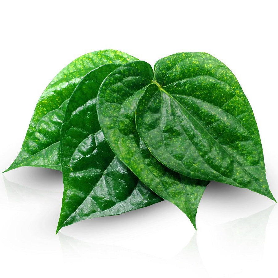 Vettrilai / Betel/ Pan Leaves - Pookadai Florist Toronto
