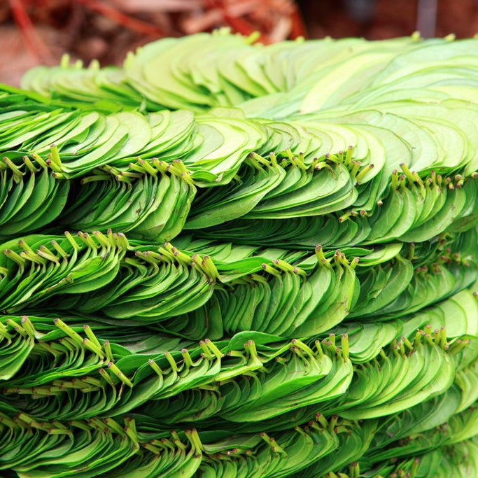Vettrilai / Betel/ Pan Leaves - Pookadai Florist Toronto