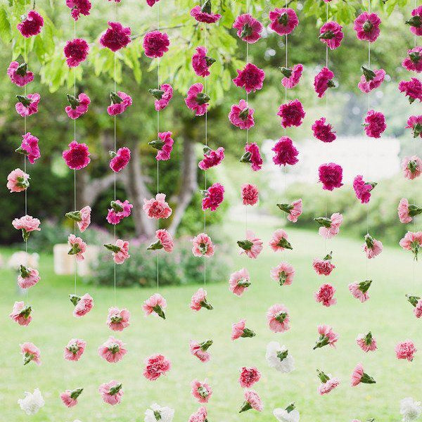 Carnations Strings (Whole) - Pookadai Florist Toronto