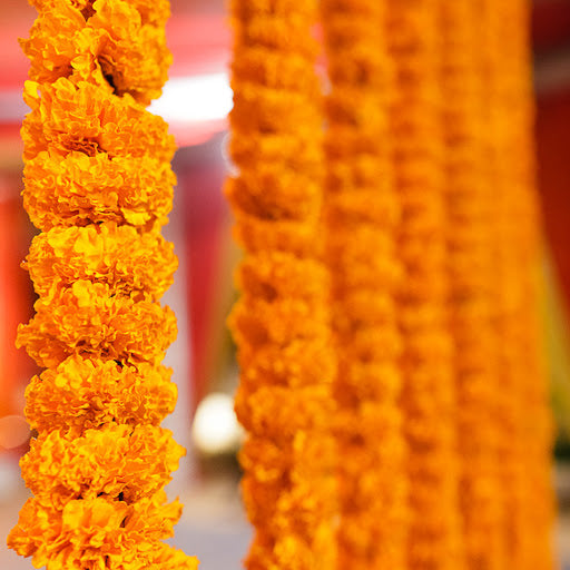 Marigold Strings - Pookadai Florist Toronto