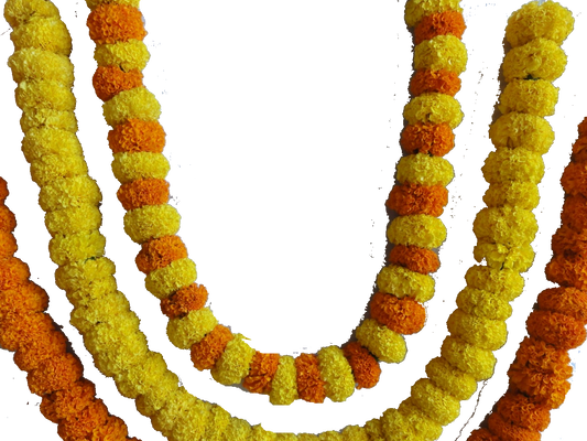 Marigold Strings - Pookadai Florist Toronto