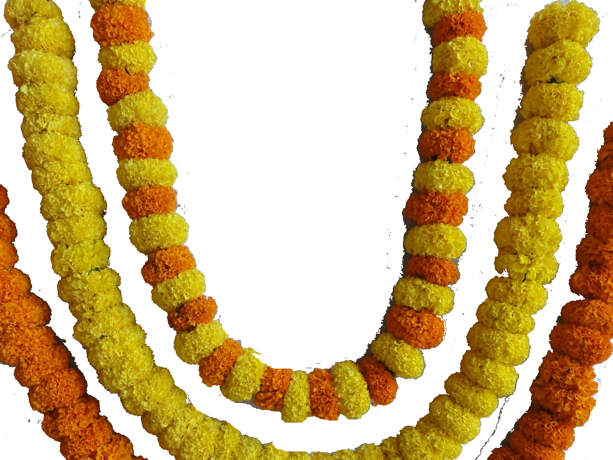 Marigold Strings - Pookadai Florist Toronto