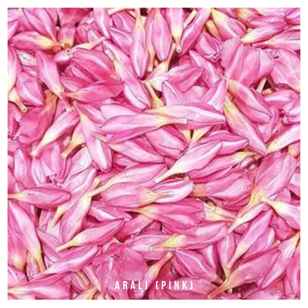 Fresh Arali / Ganneru Flowers - Pookadai Florist Toronto