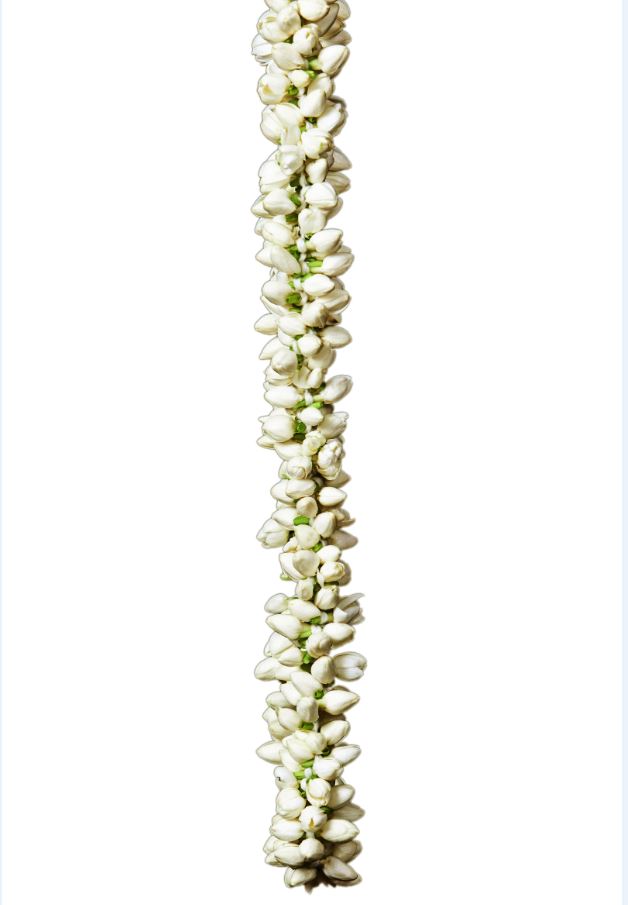 Special Jasmine Strings ( Bridal ) - Pookadai Florist Toronto