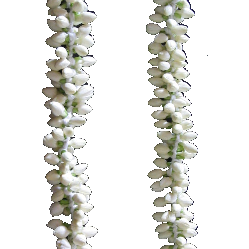 Jasmine Strings - Regular - Pookadai Florist Toronto