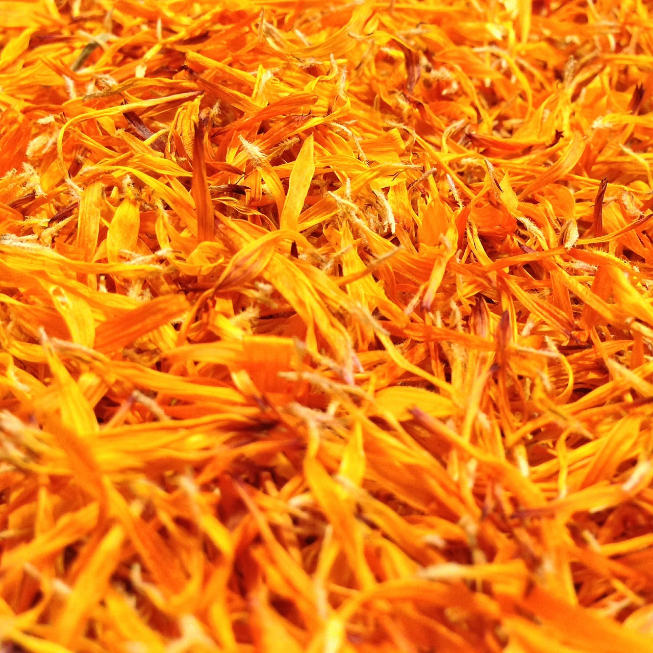 Flower Petals - Marigold - Pookadai Florist Toronto