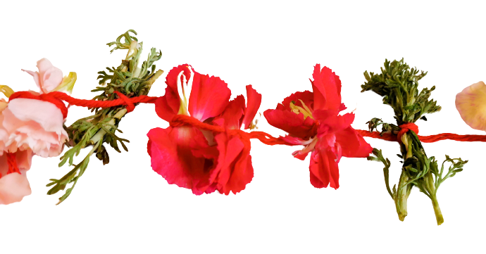 Carnations Kathampam String - Pookadai Florist Toronto