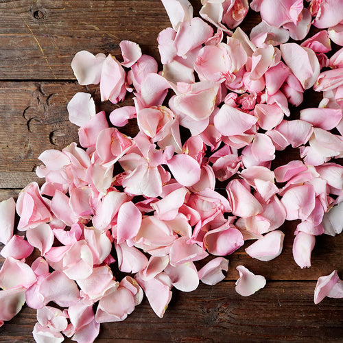 Flower Petals - Fresh Rose Petals - Pookadai Florist Toronto