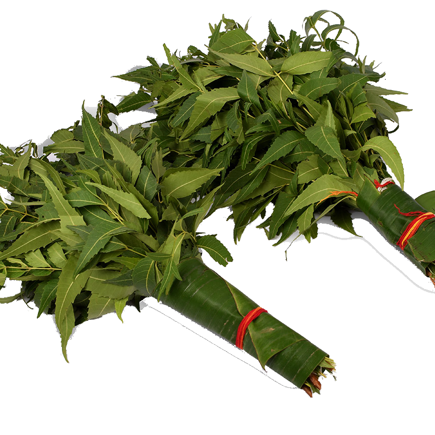Veppilai / Neem Leaves - Pookadai Florist Toronto