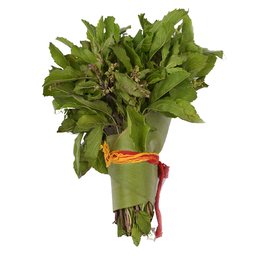Tulsi Leaves - Thulasi (Holy Basil) - Pookadai Florist Toronto