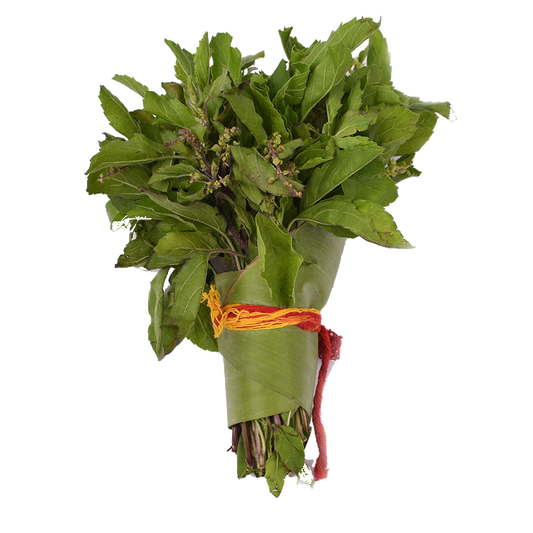 Tulsi Leaves - Thulasi (Holy Basil) - Pookadai Florist Toronto