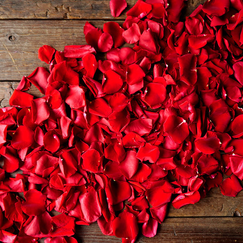 Flower Petals - Fresh Rose Petals - Pookadai Florist Toronto