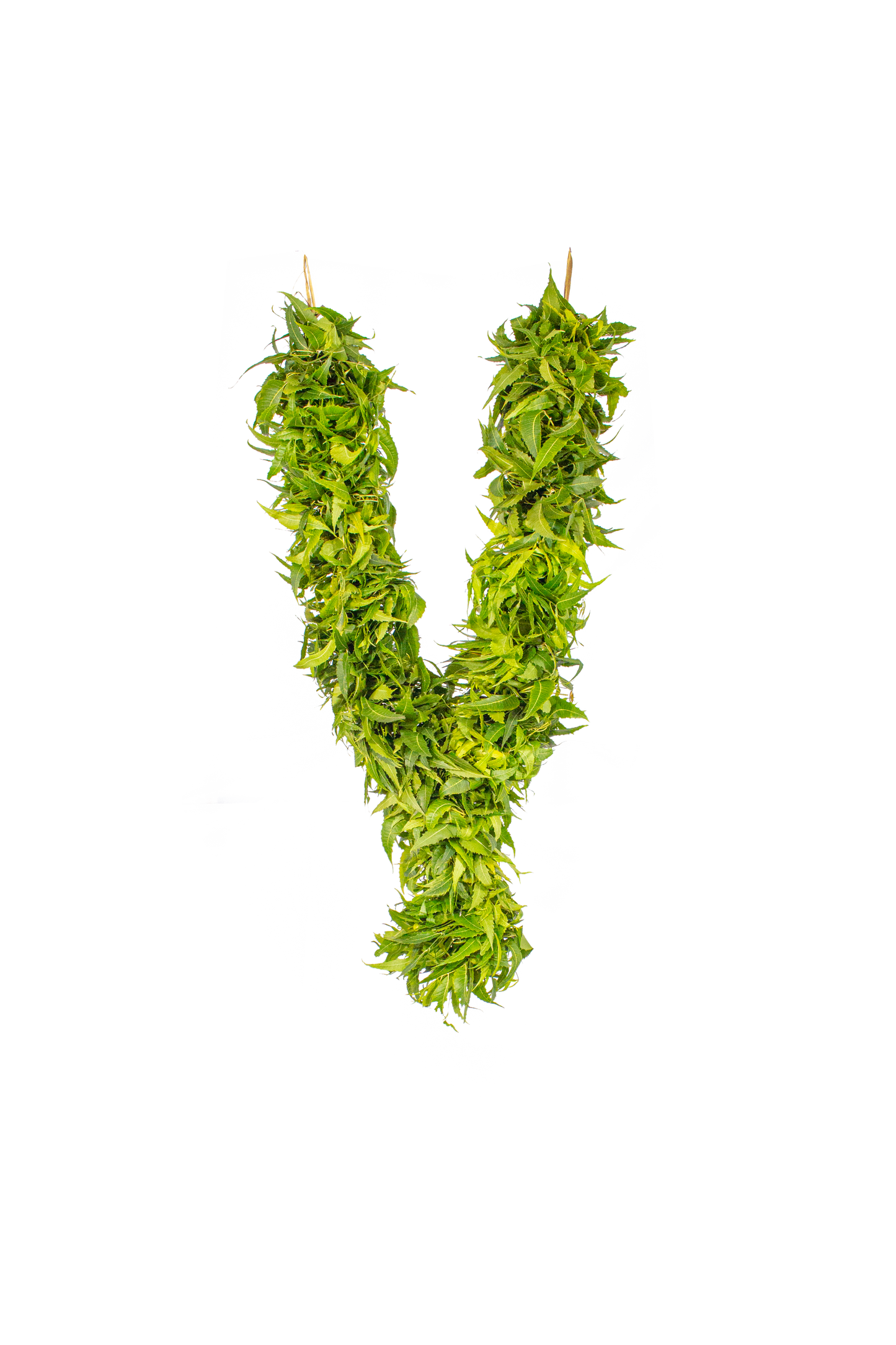 Pooja Garland - Neem - Veppilai Garland