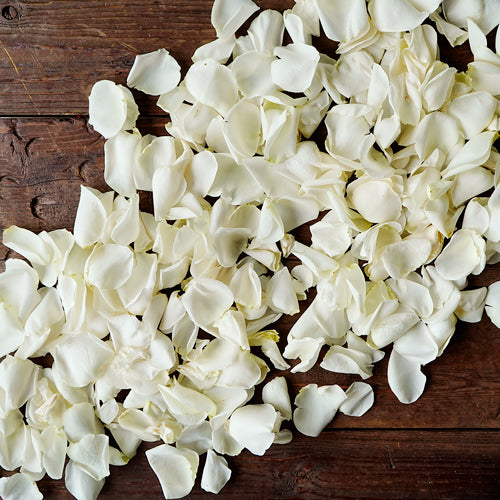 Flower Petals - Fresh Rose Petals - Pookadai Florist Toronto