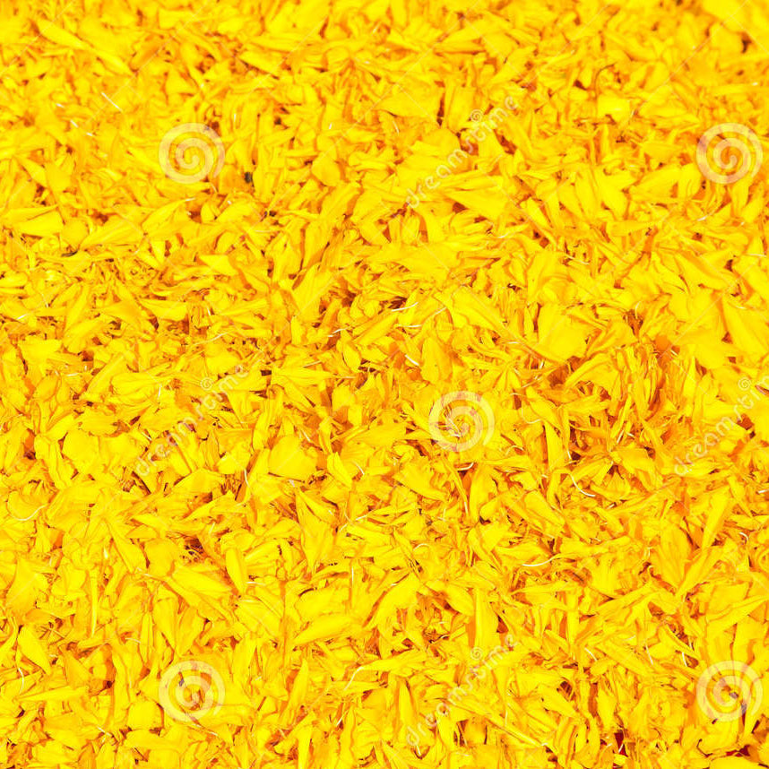 Flower Petals - Marigold - Pookadai Florist Toronto