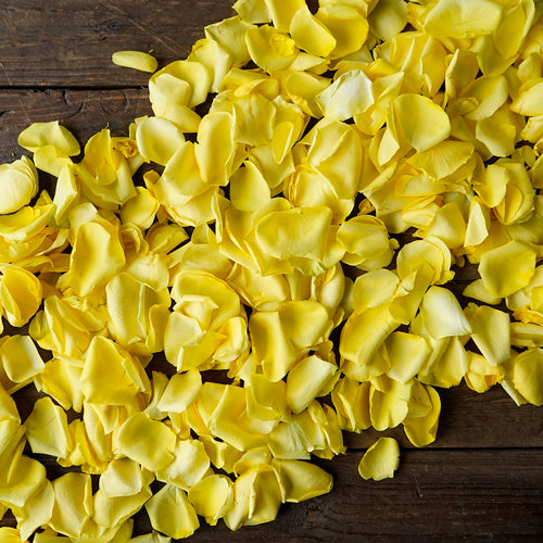 Flower Petals - Fresh Rose Petals - Pookadai Florist Toronto