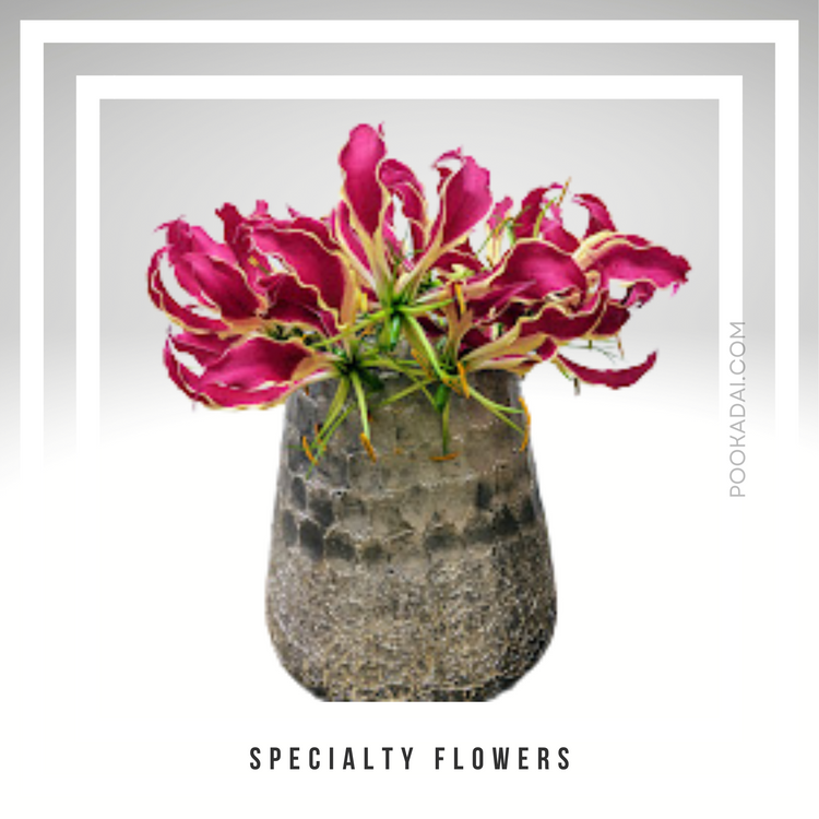 Specialty Flowers