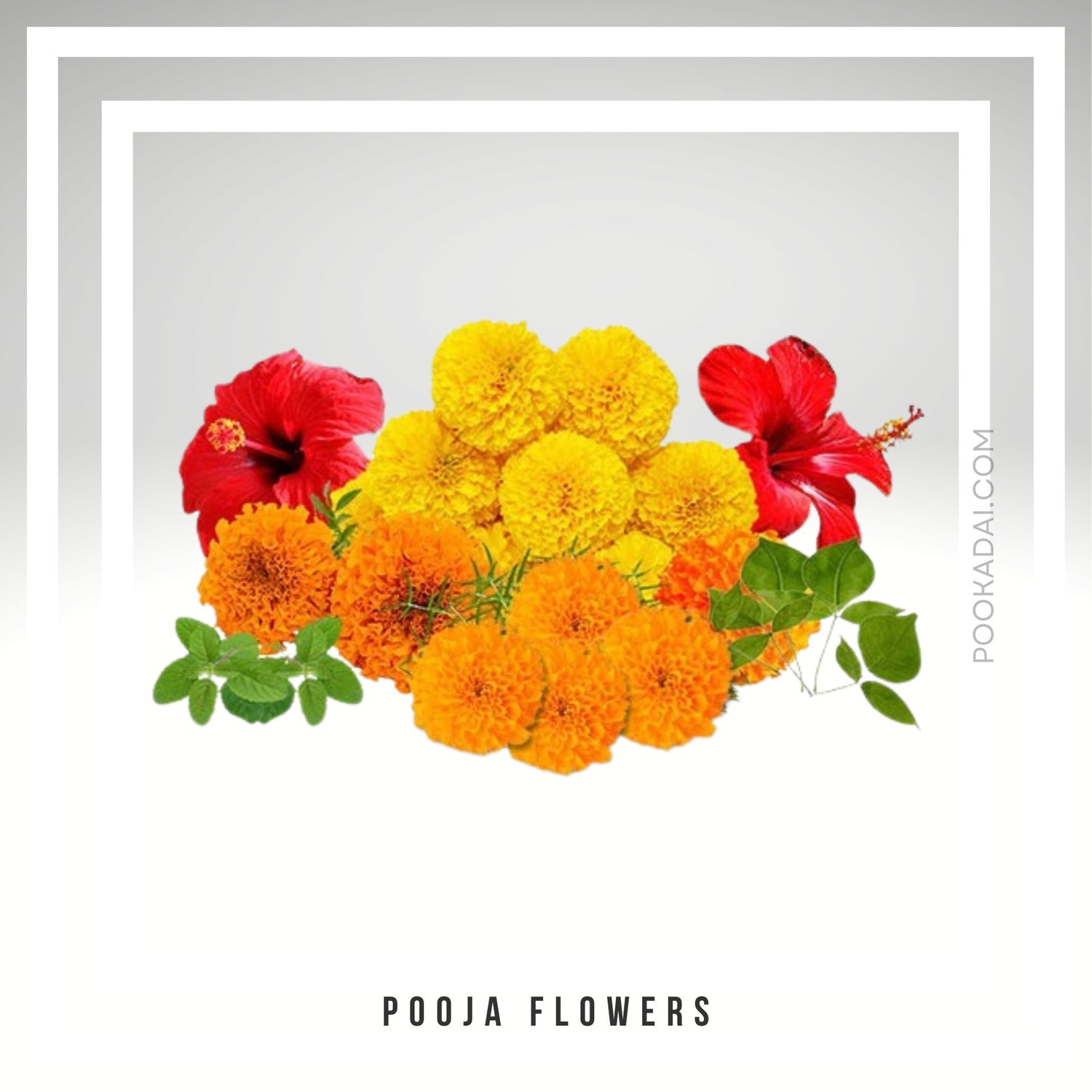 Pooja Flowers - Pookadai.com