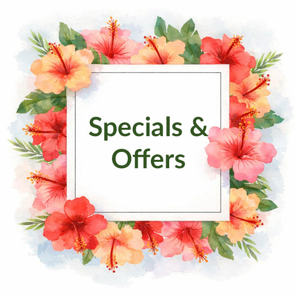 Specials & Offers