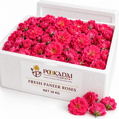 Fresh Paneer Rose | Paneer Roja – Bulk Box (10 KG)