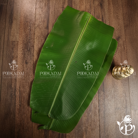 Fresh Banana Leaf