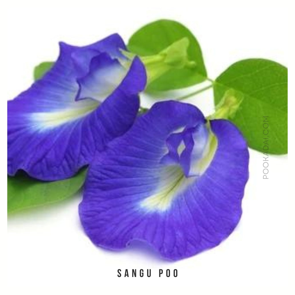 Sangu Pushpam - Pookadai Florist Toronto